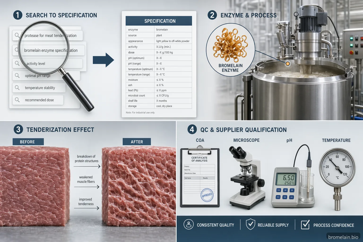 silagen arnica-bromelain complex meat tenderization guide showing bromelain specs, process controls, and QC checks